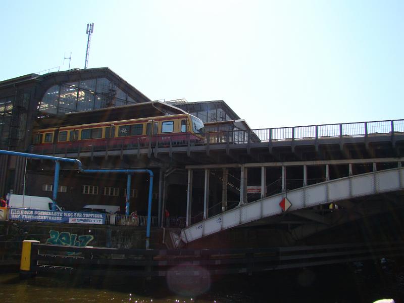 DSC01993.JPG