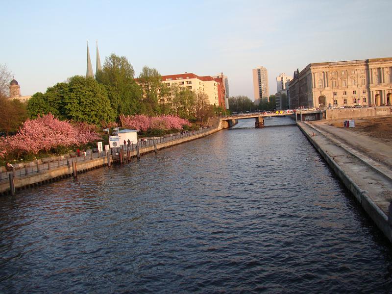 DSC02171.JPG