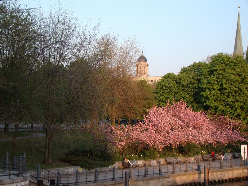 DSC02172.JPG
