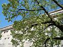 DSC01838