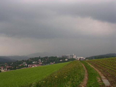 DEG-008