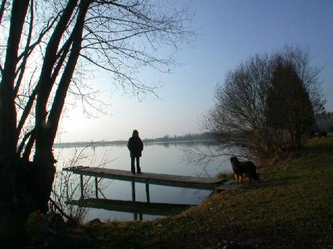 DEG-087